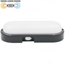 Φωτιστικό Επίτοιχο LED 20W 230V 2000lm CCT Polycarbonate Γραφίτη IP65 21-230201